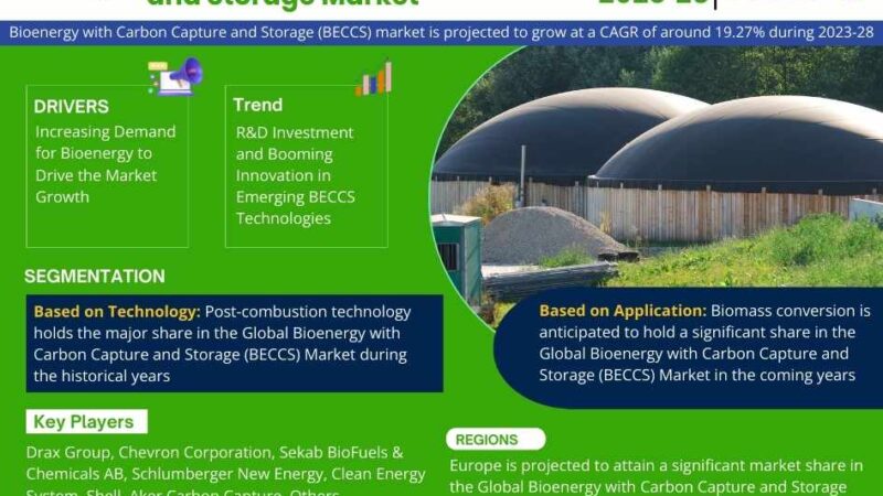 Bioenergy with Carbon Capture and Storage (BECCS) Market
